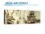 鿴BDL4610XHϸϢ