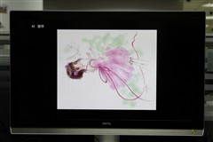 ¼BDP2012岥Ż