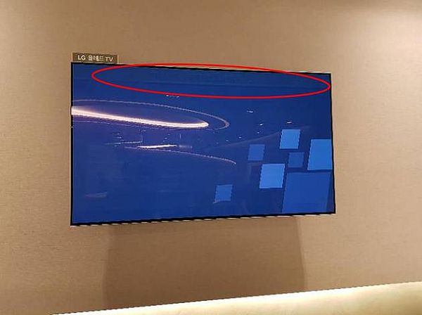 ô֪ʶ㣡OLED֪