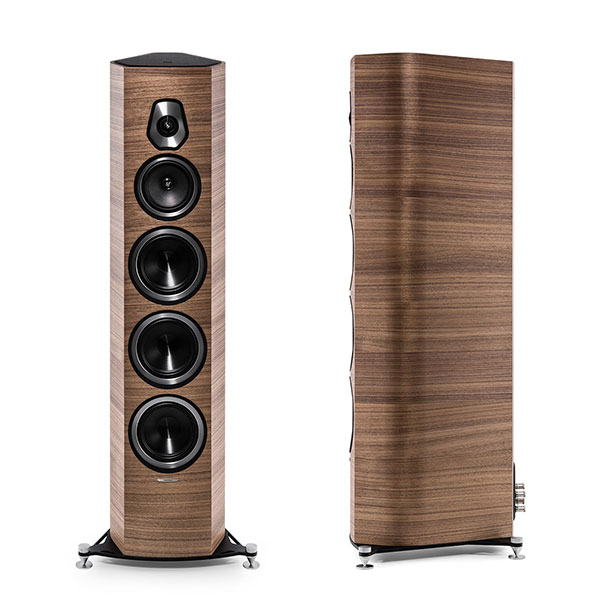 н׺µǳSouns Faber