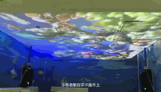 ǻҽơӲƼƼսߡ