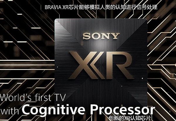 ᲻Ѱ·:֪оƬCognitive?Processor?XR
